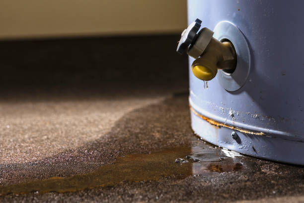Best Water damage cleanup near me  in Sulligent, AL
