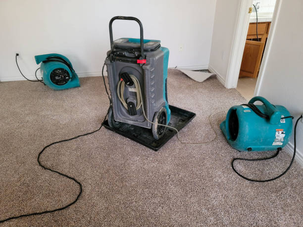 Best Ceiling water damage repair  in Sulligent, AL