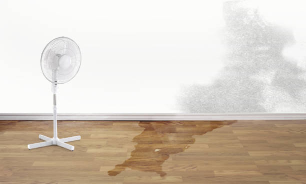 Best Flooded house restoration  in Sulligent, AL