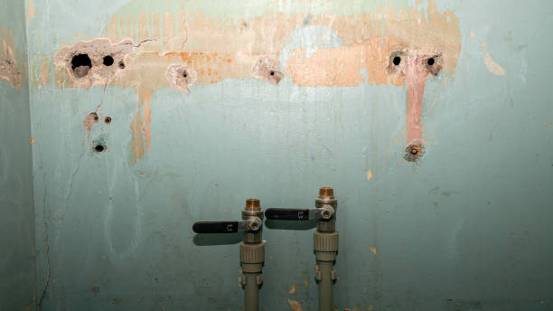 Best Basement water damage restoration  in Sulligent, AL