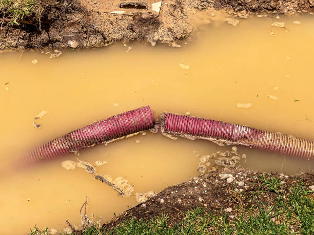 Best Commercial water damage restoration  in Sulligent, AL